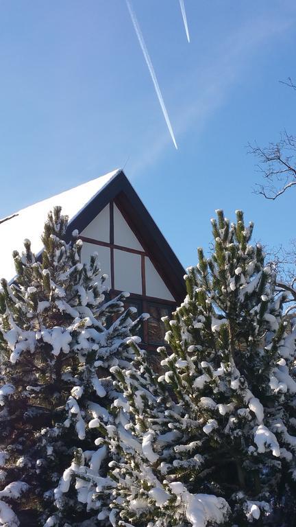Landhaus Tonmuehle Ilsenburg Exteriör bild