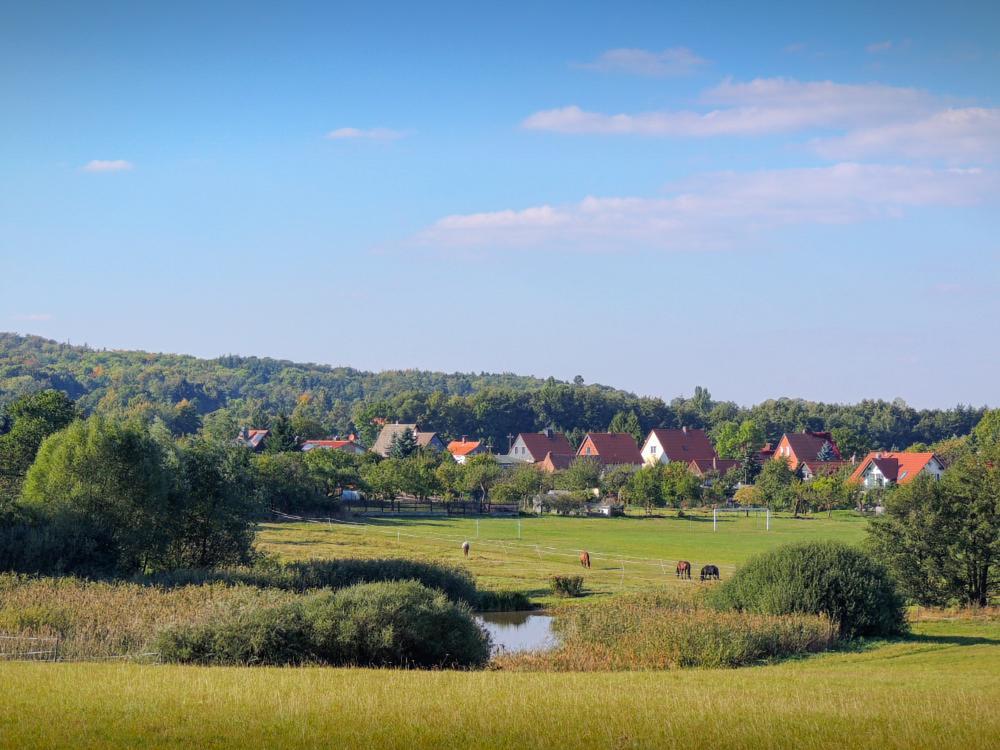 Landhaus Tonmuehle Ilsenburg Exteriör bild